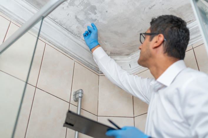 An insurance adjuster reviews damage from mold