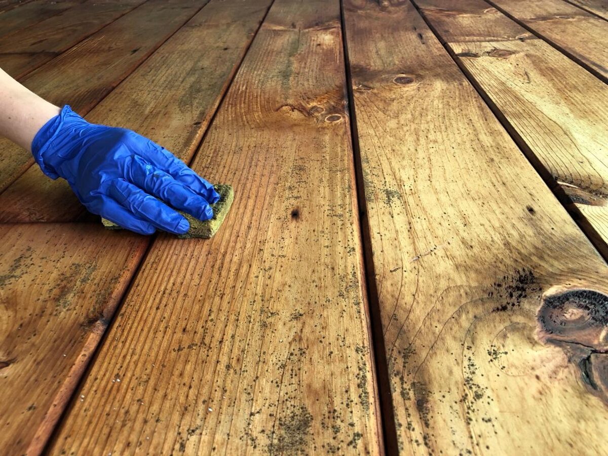 cleaning black mold from the wood.