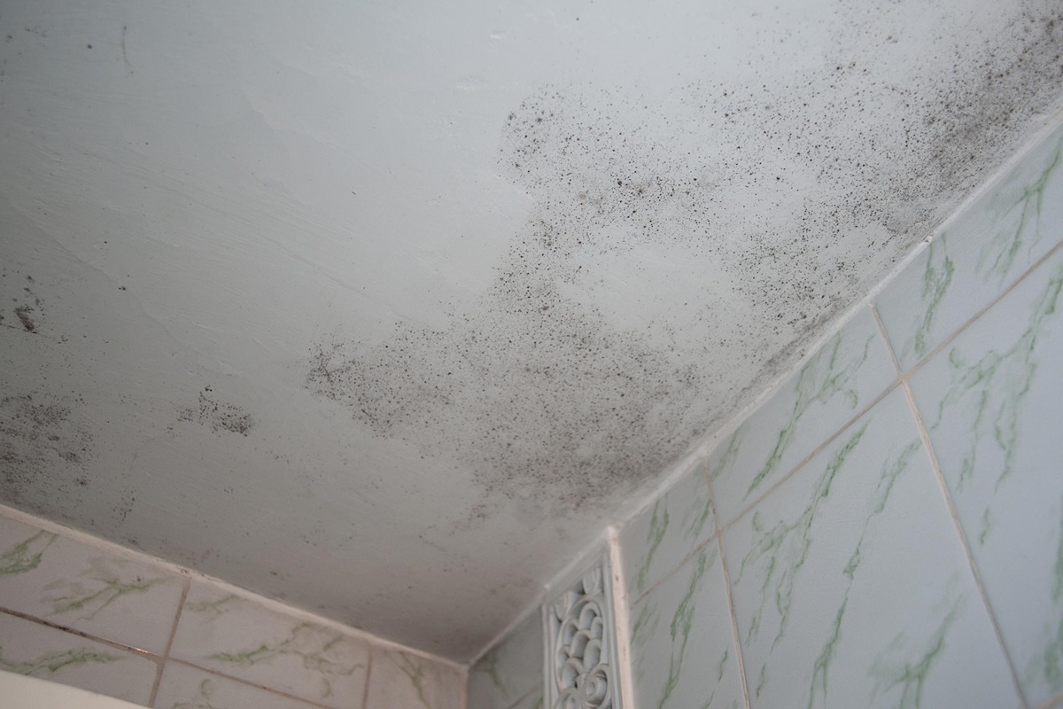 mold on the bathroom ceiling.