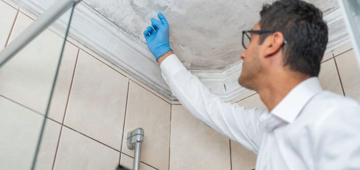 An insurance adjuster reviews damage from mold